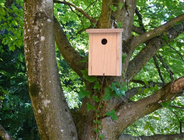 Nisthilfen für Höhlenbrüter